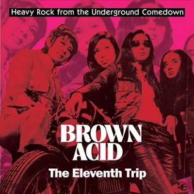 Afbeelding van V/A Brown Acid: the Eleventh Trip (LP)