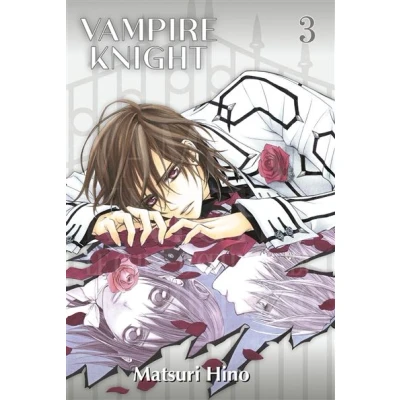 Image de Vampire Knight Perfect Edition T03