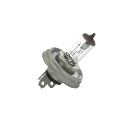 Afbeelding van Bosch Gloeilamp koplamp 1 987 302 021