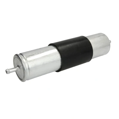 Afbeelding van HENGST FILTER H428WK Brandstoffilter Pijpfilter BMW: X5