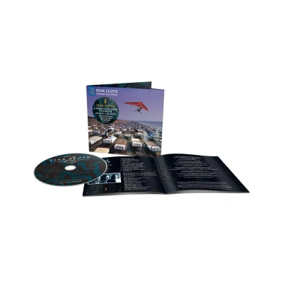 Afbeelding van A Momentary Lapse Of Reason (CD)