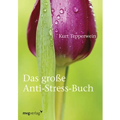 Afbeelding van Das grosse Anti Stress Buch