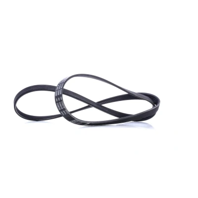 Afbeelding van Bosch Poly V riem 1 987 946 001