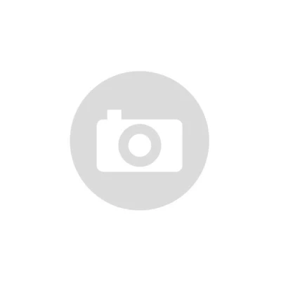 Afbeelding van BGS Diy 63217 kleurenendoscoopcamera met TFT monitor, diameter 5,5 mm