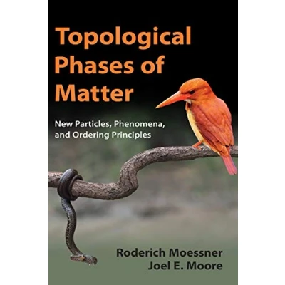 Afbeelding van Topological Phases of Matter