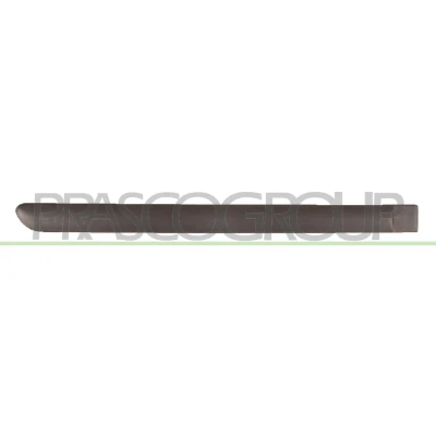 Afbeelding van PRASCO PG4201453 Zierleiste PEUGEOT: 307 Hatchback