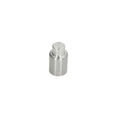 Afbeelding van Zuiger, remklauw AUTOFREN SEINSA D025640, voor