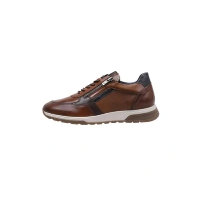 Afbeelding van Fluchos F1600 HABANA CAMEL+COM.2 LOUIS, Bruin, 43 EU
