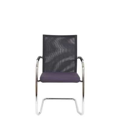 Afbeelding van Vergaderstoel F260 slede frame met zwarte rug mesh en grijze zitting