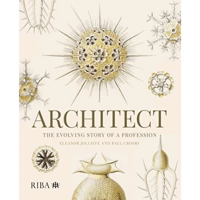 Afbeelding van Architect: The evolving story of a profession