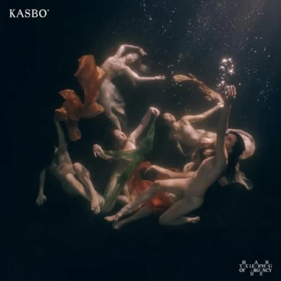 Afbeelding van Kasbo The Learning of Urgency (LP)