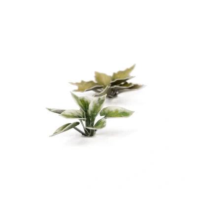 Afbeelding van Plantain Lily Hosta Laserplants 57x GGLP PL