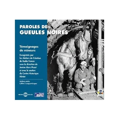 Image de Paroles de gueules noires temoignages mineurs