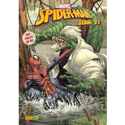 Afbeelding van SPIDER MAN GEANT,02