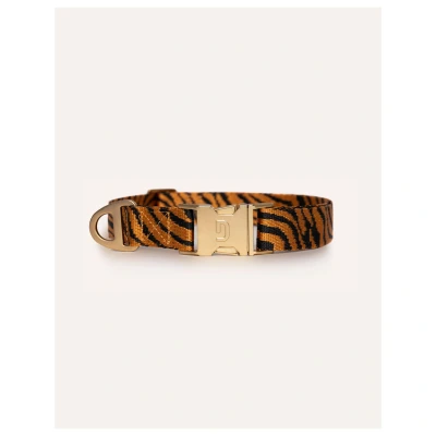 Afbeelding van Dogguo Zebra Collar Hondenhalsband L