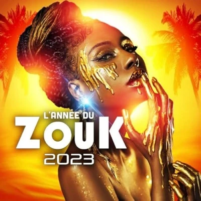 Afbeelding van Various Artists L&#039;année du Zouk 2023 (2 CD)