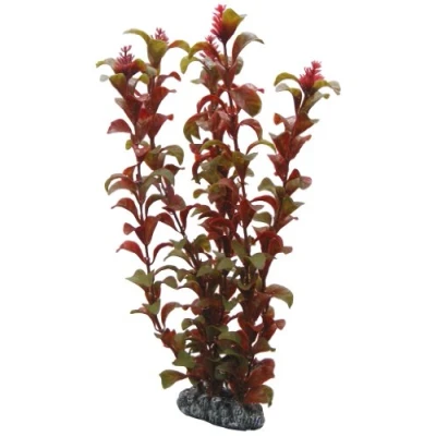 Afbeelding van Hobby Plant Rotala 30CM