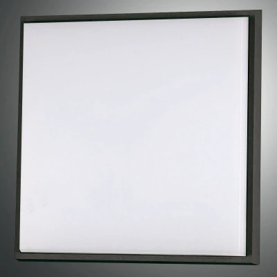 Afbeelding van LED plafondlamp Desdy, 30x30 cm, IP54, zwart