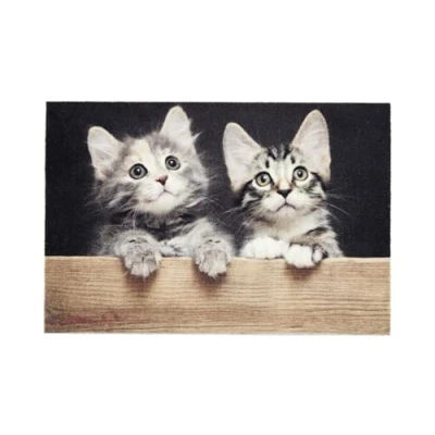 Afbeelding van ASTRA Deurmat voor binnen, antislip, waterdicht, vuilafstotend, wasbaar op 30 graden, onderhoudsvriendelijk, kattenmat, hout, 40 x 60 cm