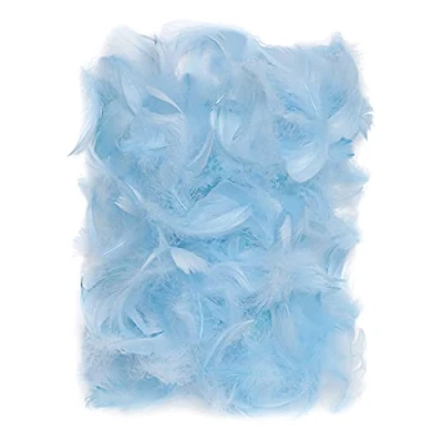 Afbeelding van Netuno 150 stuks blauwe decoratieve veren 10 g donzen vogelveren knutselveren voor doe het zelf decoratie Pasen Kerstmis