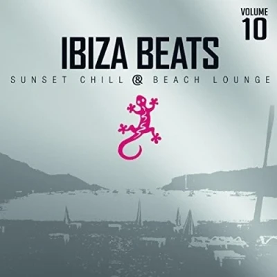 Afbeelding van Various Artists Ibiza Beats Vol.10 (2 CD)