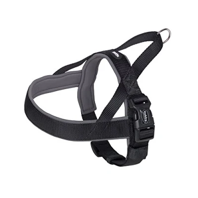 Afbeelding van Nobby Noors tuig Classic Preno Zwart S/M 36 cm x 38 50