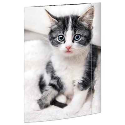Afbeelding van RNK Verlag Tekenmap &#039;Cat&#039;, DIN A3