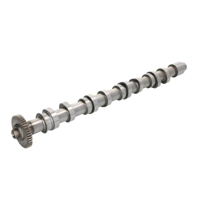 Afbeelding van Nokkenas FRECCIA CM05 2196