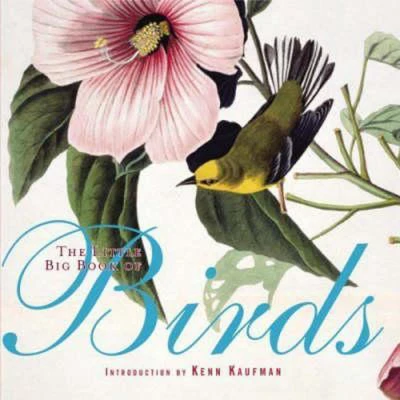 Afbeelding van The Little Big Book of Birds
