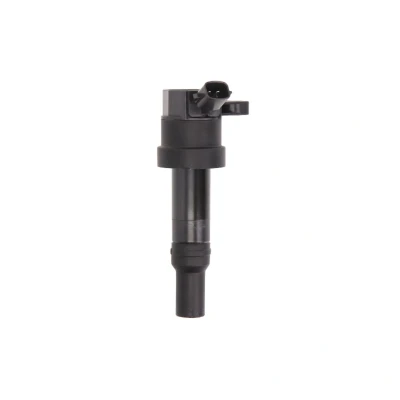 Afbeelding van DELPHI GN10585 12B1 Bobine 2 12 HYUNDAI: i10 I, II Hatchback, KIA: Picanto