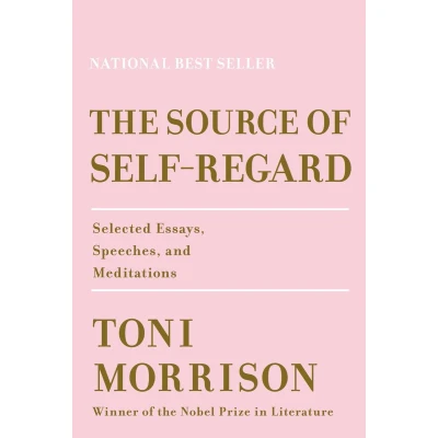 Afbeelding van The Source of Self Regard