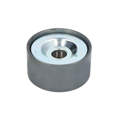 Afbeelding van DAYCO APV1092 Geleiderol