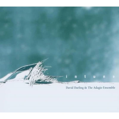Afbeelding van David Darling Intune (CD)