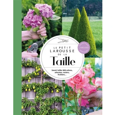 Image de Le Petit Larousse de la taille