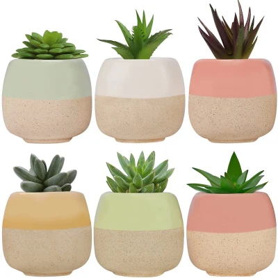 Afbeelding van Belle Vous Mini pot van keramiek (6 stuks), L 6 x H 5,5 cm, cactus en bloempot met afvoergaten, voor thuis, kantoor, binnen, buiten tuin, vetplanten