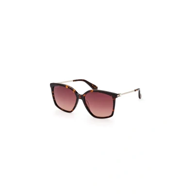 Afbeelding van Max Mara Zonnebril, Dames, Maat: 56, marrone chiaro sfumato