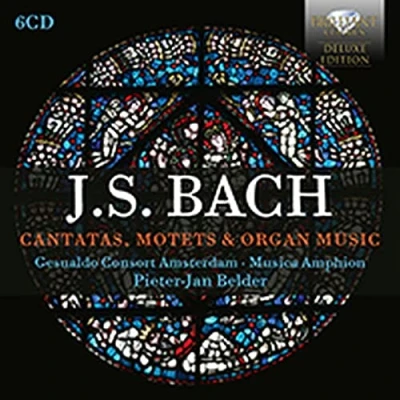 Afbeelding van Gesualdo Consort Amsterdam &amp; Musica Amphion Pieter J J.S. Bach: Cantatas, Motets Organ Music (6 CD)