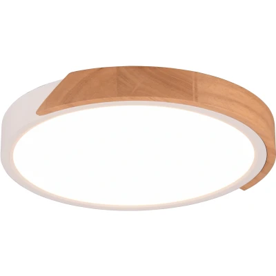 Afbeelding van Reality LED Plafondlamp Plafondverlichting 20W Warm Wit 3000K Dimbaar Rond Kunststof