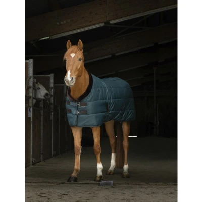 Afbeelding van EQUITHÈME Staldeken Teddy Groen/Bruin 155/206