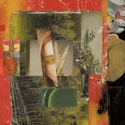 Afbeelding van Foam Giant Under the Trees (LP)