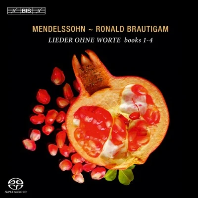 Afbeelding van Classic Lieder Ohne Worte (Super Audio CD)