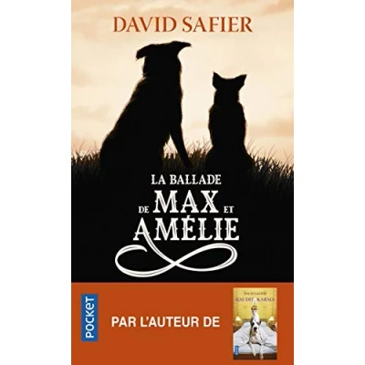 Afbeelding van ISBN 9782266312998 boek Frans 416 pagina&#039;s