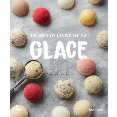 Afbeelding van Le grand livre de la glace