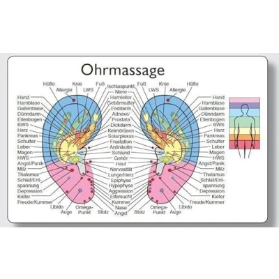 Afbeelding van Reflexzonenmassagekarte &quot;Ohr&quot;