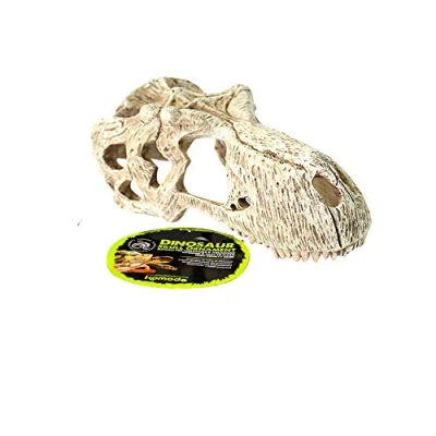Afbeelding van Komodo T Rex Schedel LARGE