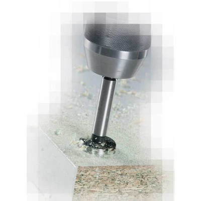 Afbeelding van Alpen 0023903500100 Forstnerboor 35 mm Gezamenlijke lengte 90 Cilinderschacht 1 stuk(s)