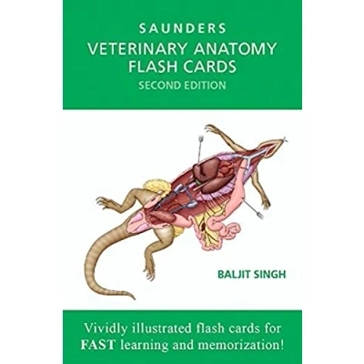 Afbeelding van Veterinary Anatomy Flash Cards