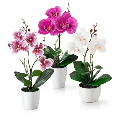 Afbeelding van PASCH® Set van 3 kunstbloemen in pot (35 cm) Kunstorchideeën Bijpassende arrangement glanzende keramische potten Decoratieve (wit en roze)