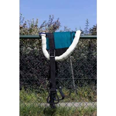 Image de HB Showtime Little Sizes Turquoise Poney