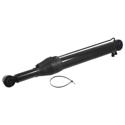 Afbeelding van Febi Bilstein Cabine kantelcilinder 33953